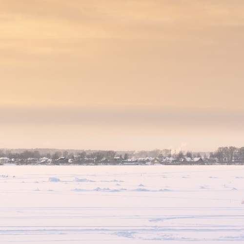 Photo #8499800