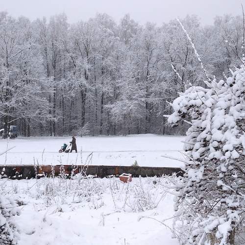 Photo #8499811