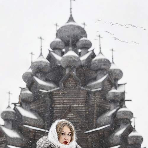 Photo #8499915