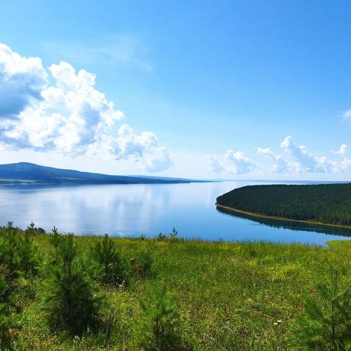 Photo #8499919