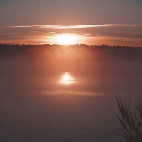 Photo #8500116