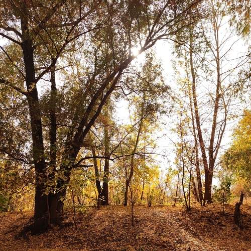 Photo #8500299