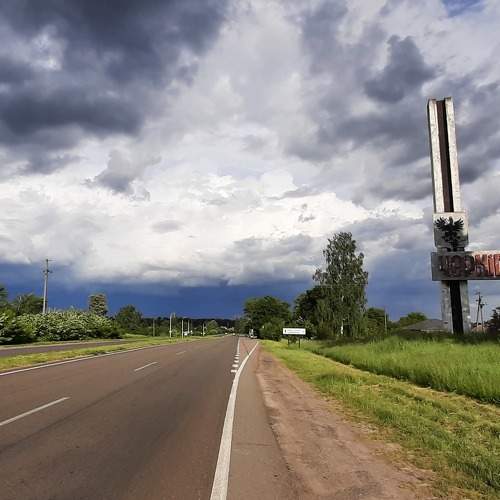 Photo #8500303