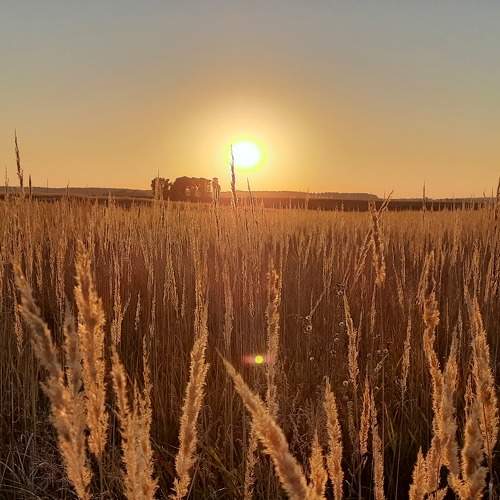 Photo #8500312