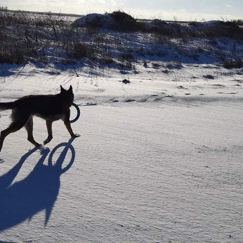 Photo #8500329