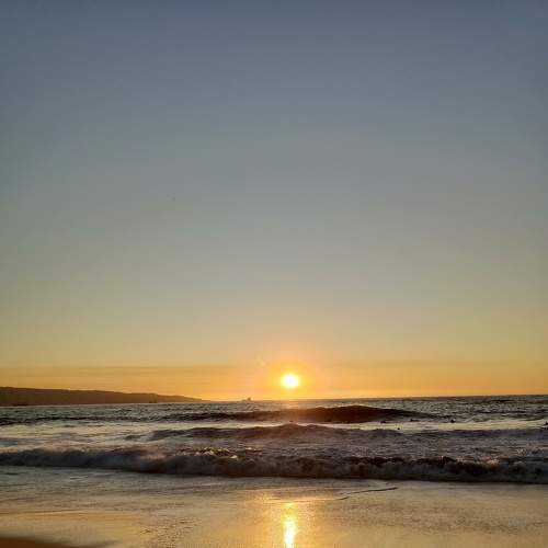 Photo #8500433