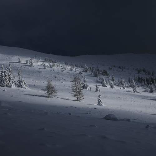 Photo #8501116
