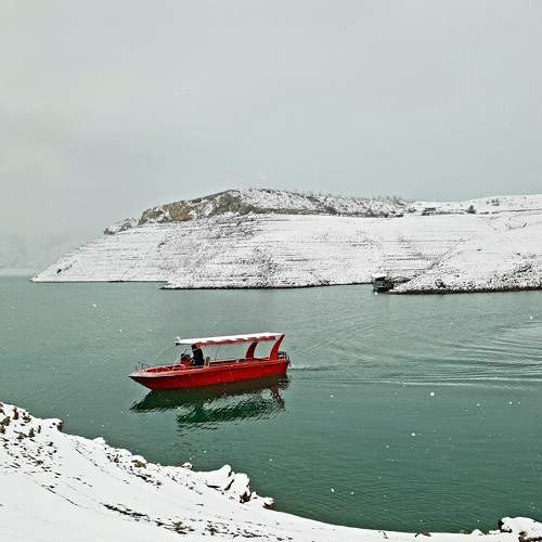 Photo #8501279