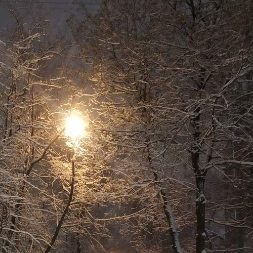 Snows/Снег