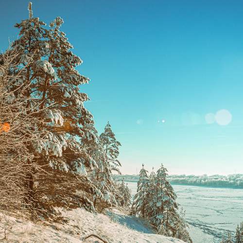 Photo #8501729