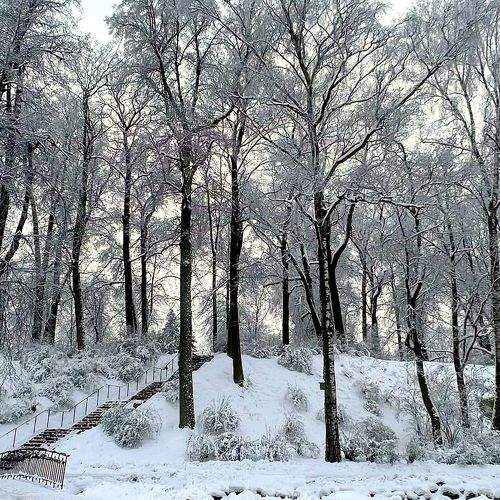 Photo #8501786