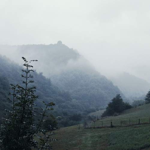 Photo #8502265