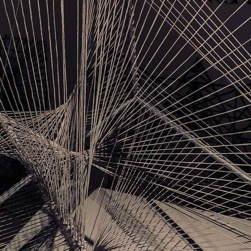 Photo #8502443