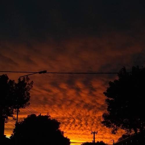 Photo #8502595