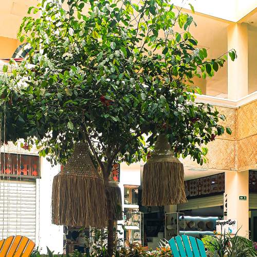 Photo #8502693