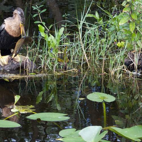 Фотография #8502793