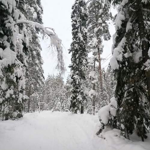 Photo #8503293
