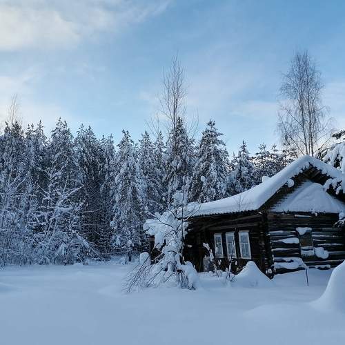 Photo #8503294