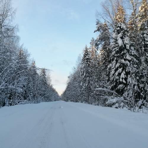 Photo #8503295