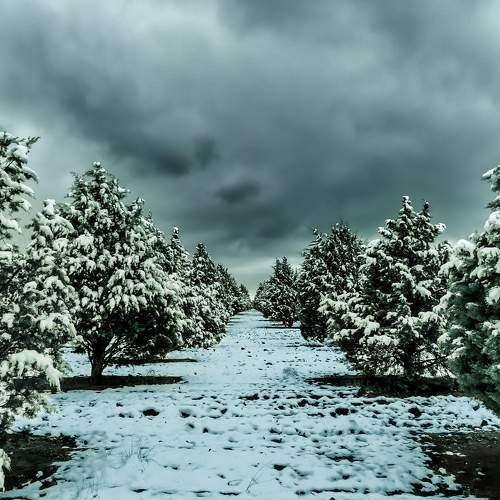 Photo #8503437