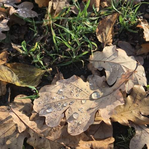 Photo #8503623