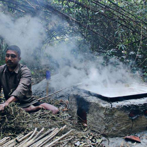 Photo #8503644