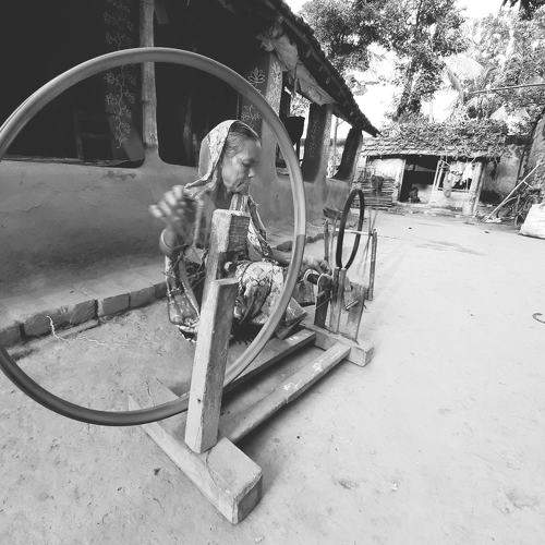 Photo #8503646