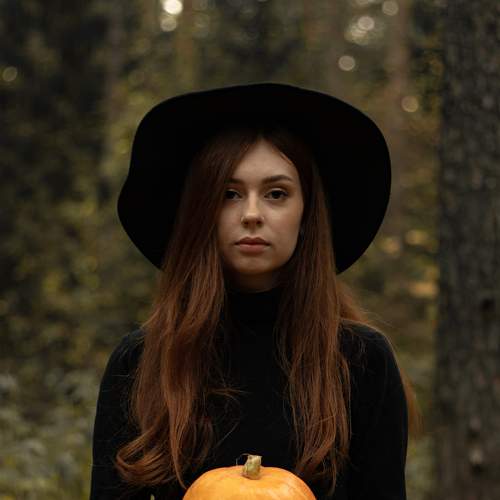 Photo #8503784