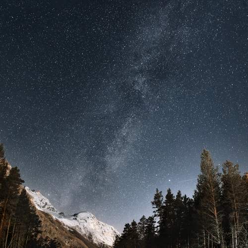 Фотография #8503858