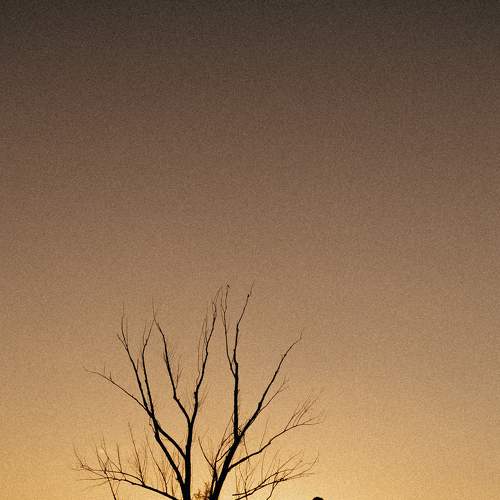 Photo #8503935