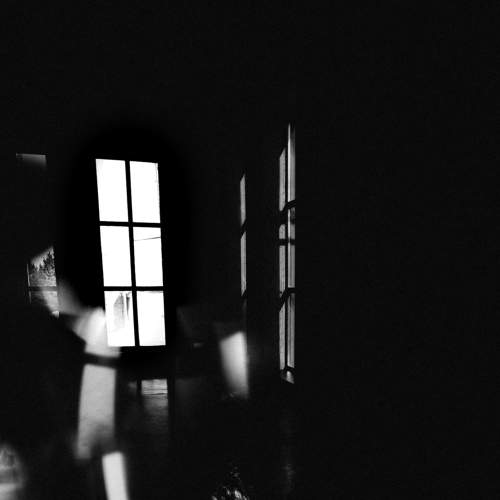 Photo #8503936