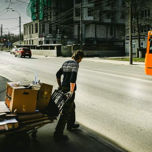 Photo #8504187