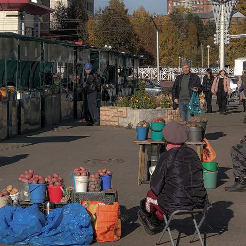 Photo #8504194