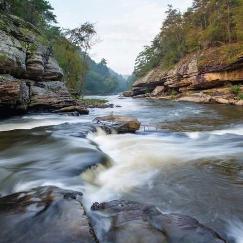 Photo #8504367