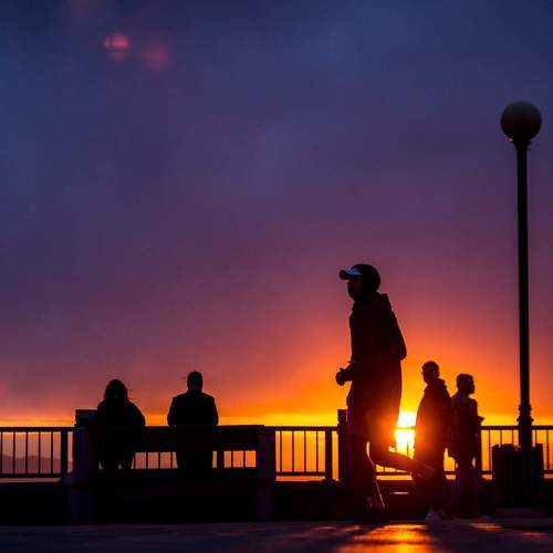 Photo #8504462