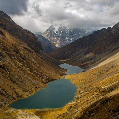 Photo #8504593