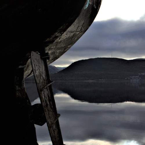 Photo #8504661