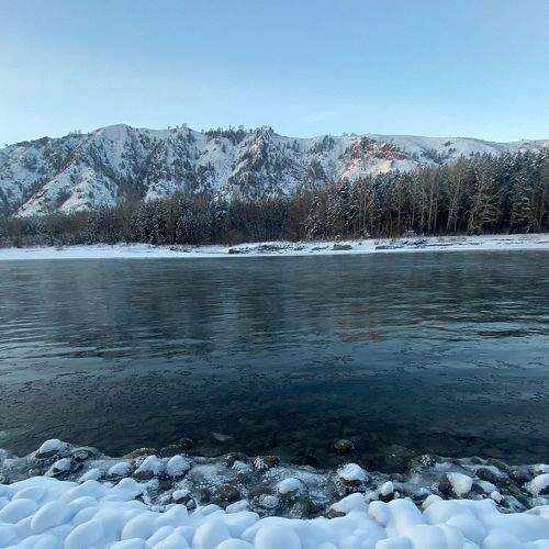 Photo #8505156