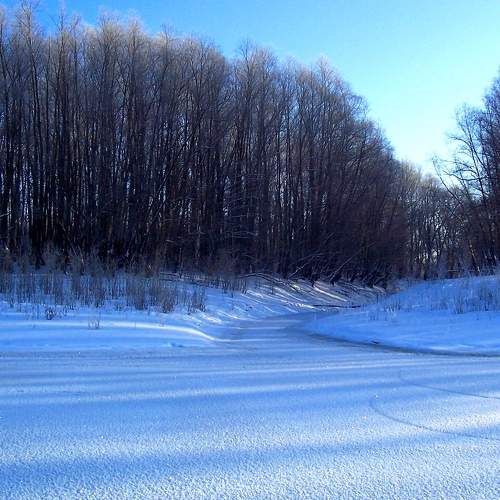Photo #8505448