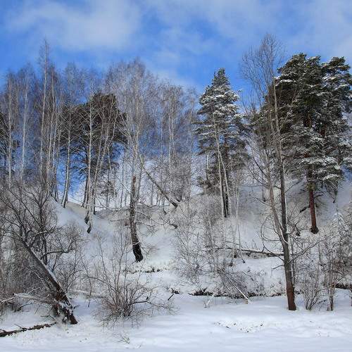 Photo #8505450