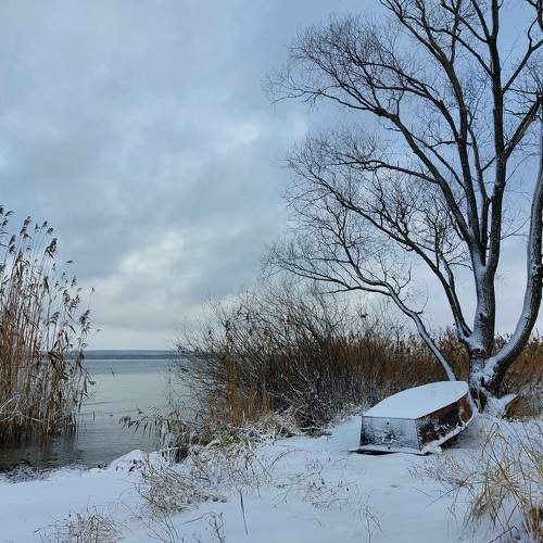 Photo #8505476