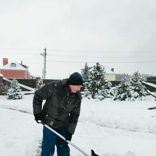 Photo #8505489