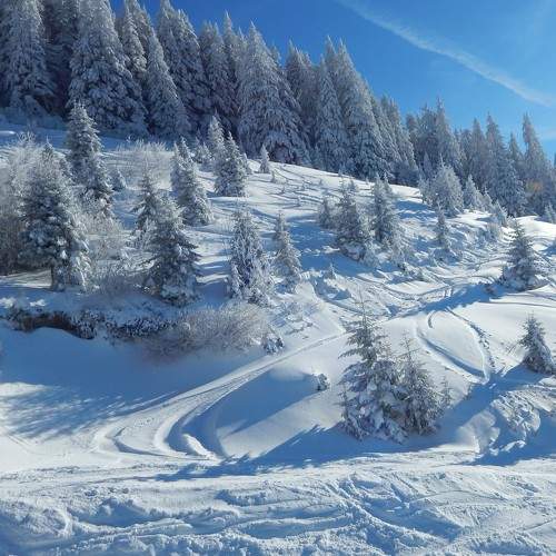 Photo #8505782
