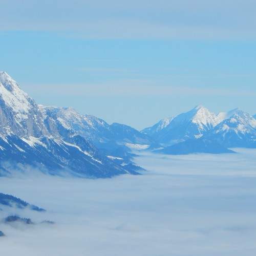 Photo #8505805