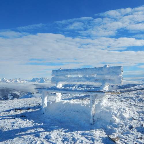 Photo #8505832