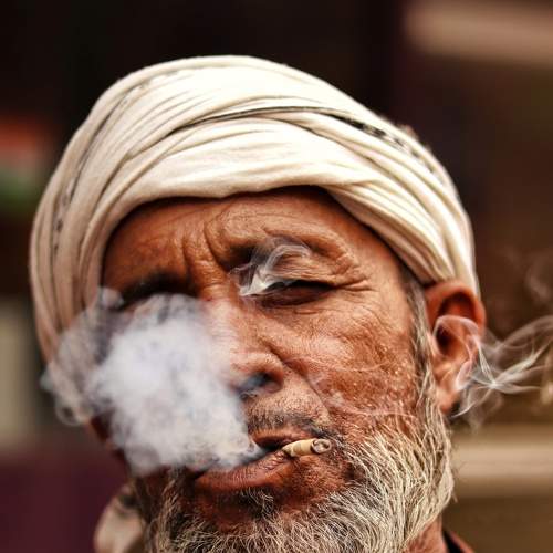 Photo #8506305