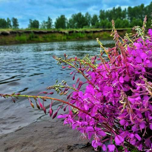 Photo #8506401