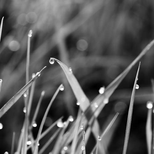 Photo #8506479