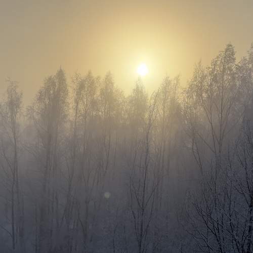 Photo #8506628