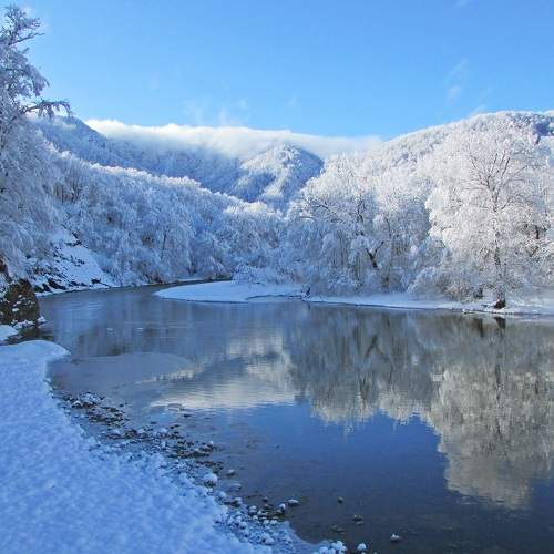 Photo #8506927